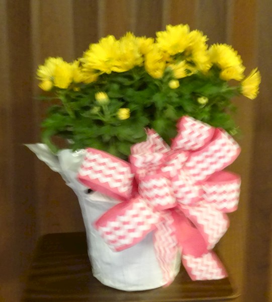 Flowers from Marty & Susan