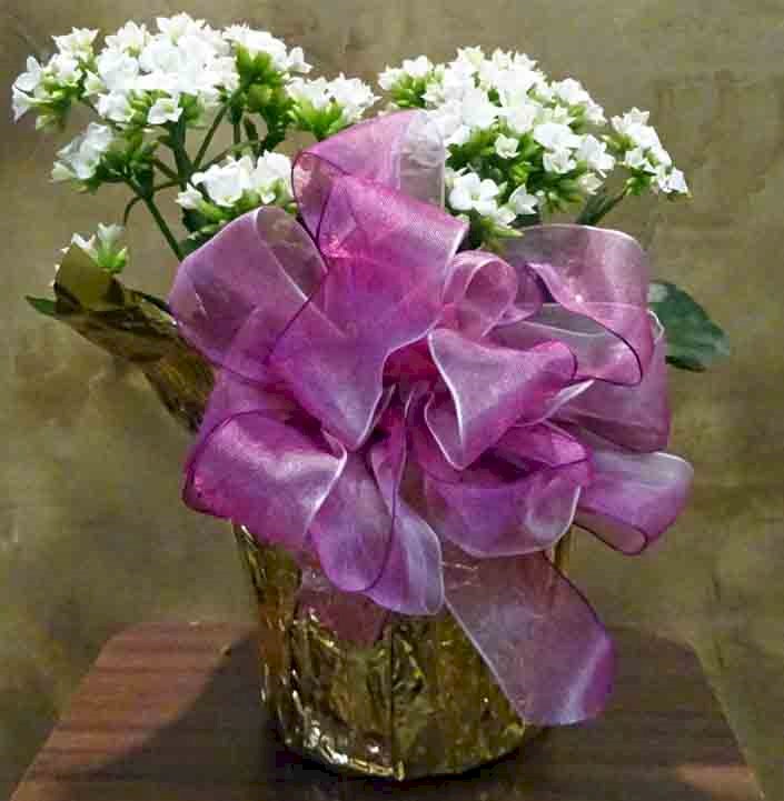 Flowers from Dakota Country Pharmacy