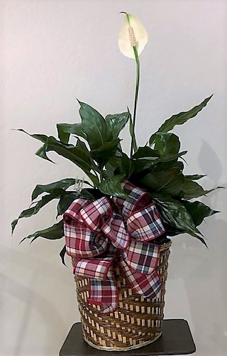 Flowers from Rob, Kim, Wesley, and Spencer Scott