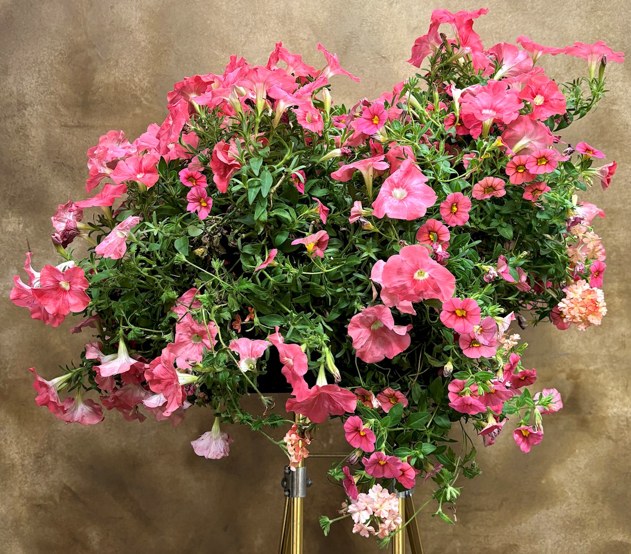 Flowers from Jim and Debbie Antonsen and Family and Brit and Ashlee Miller and Family