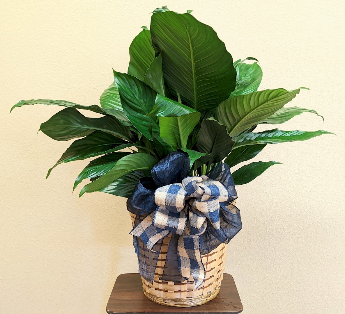 Flowers from Morris Inc. - Pierre, South Dakota