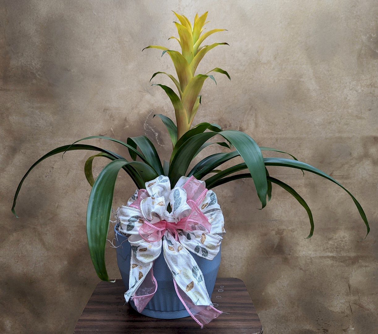 Flowers from Darwin, Marcia, and Family