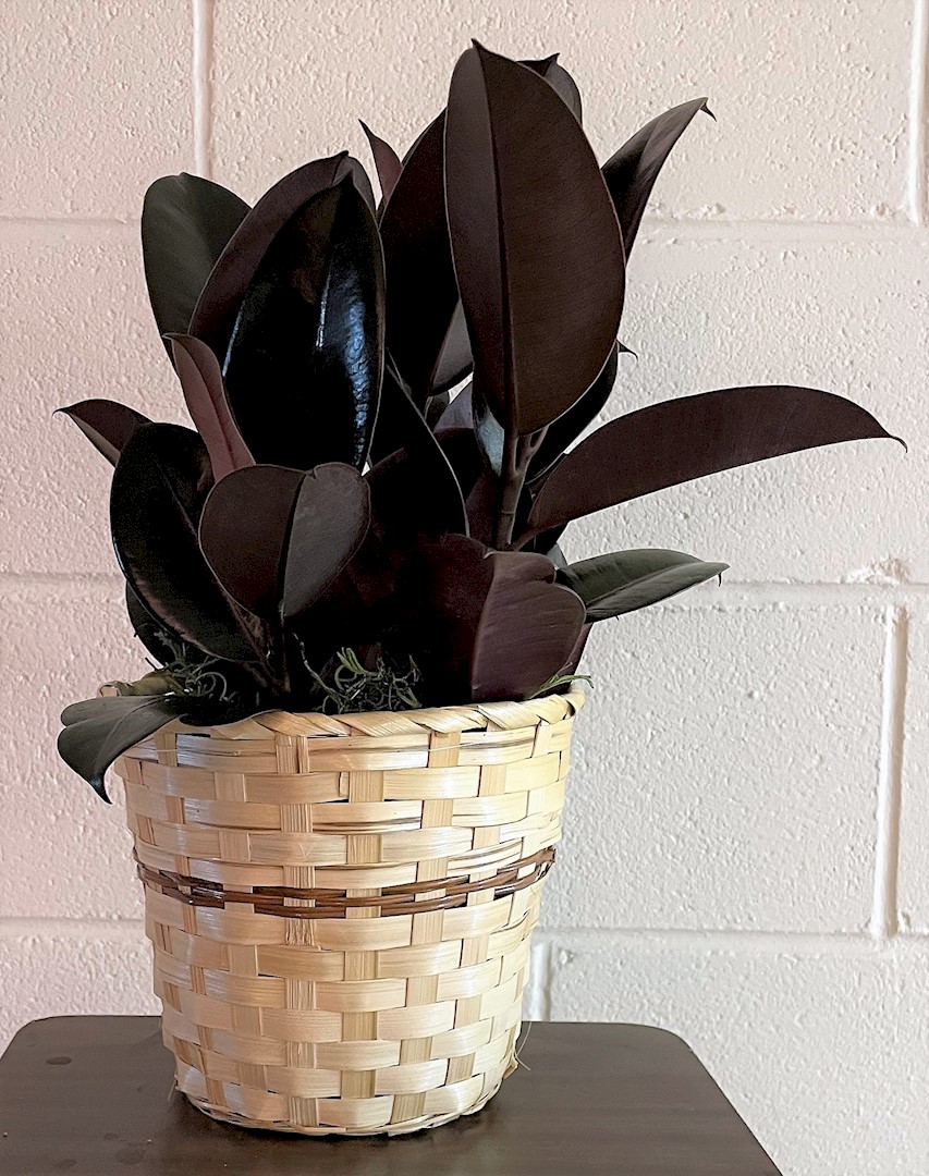 Flowers from Kadoka Nursing Home Staff, Residents, and Board of Directors