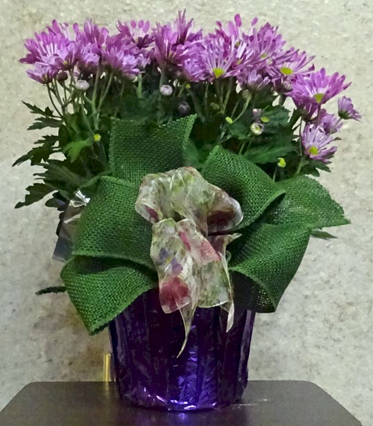 Flowers from Dan and Cindy Hauk