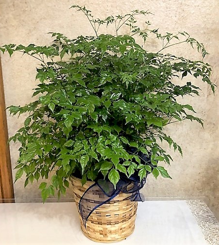 Flowers from Kent and Steph Kjerstad