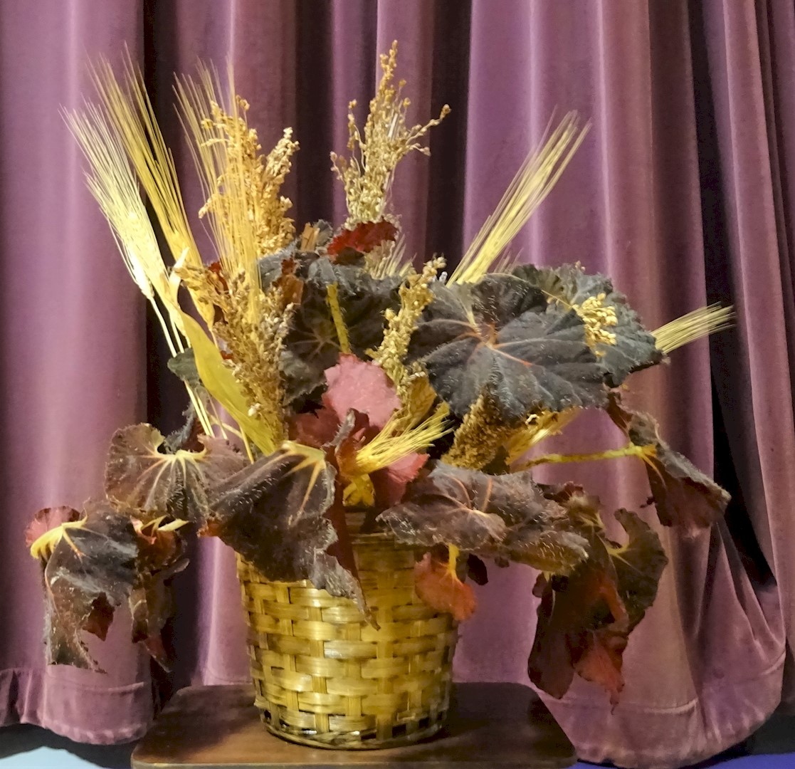 Flowers from Bob and Elsie Witt; Dan and Linda Mundorf; Deedra and Mark Stoner; Broc and Sherri Witt; and all Families