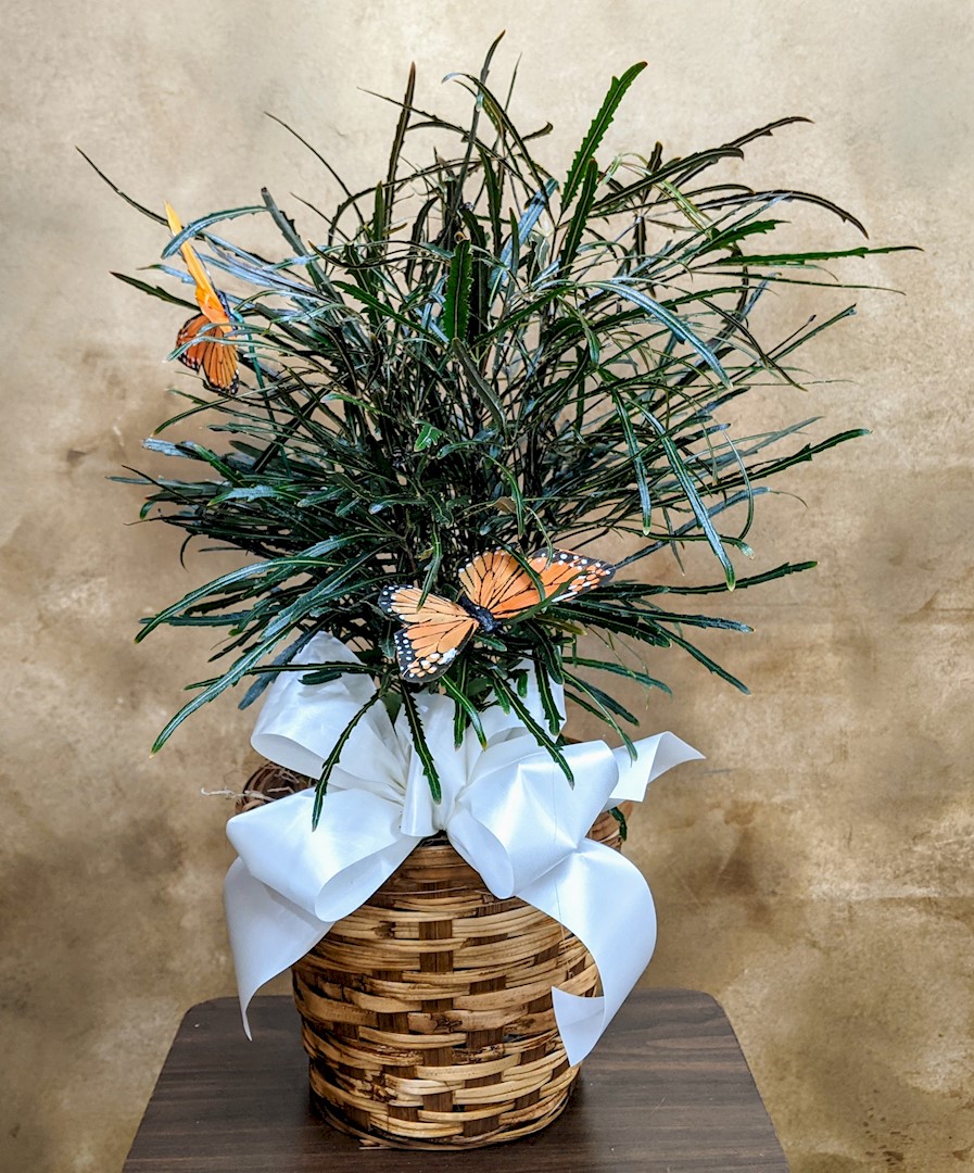 Flowers from Don, Susie, Betty, and Family