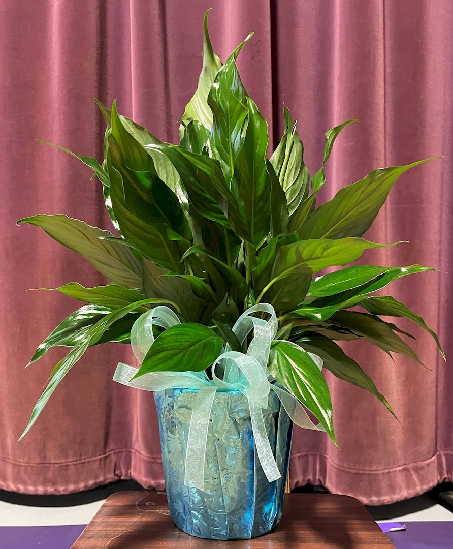 Flowers from Kadoka Nursing Home Residents, Staff, and Board of Directors