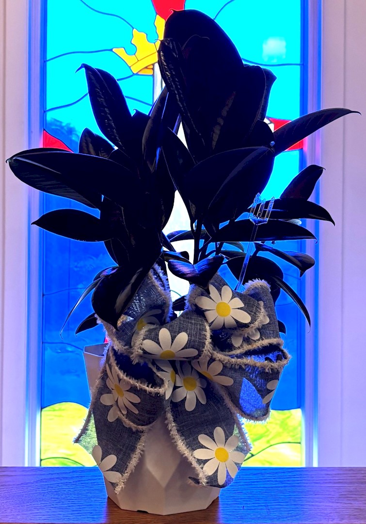 Flowers from Dan and Cindy Hauk Family