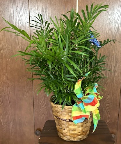 Flowers from Kelly, Susie, Josh, Will and Danielle, and Greg