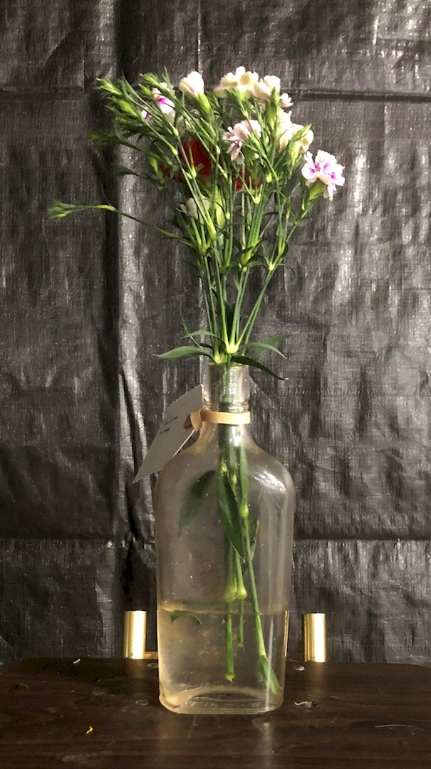 Flowers from Tony Grimes and Family