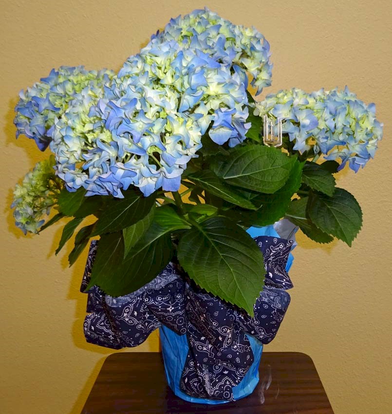 Flowers from Kevin and Becky Dettler