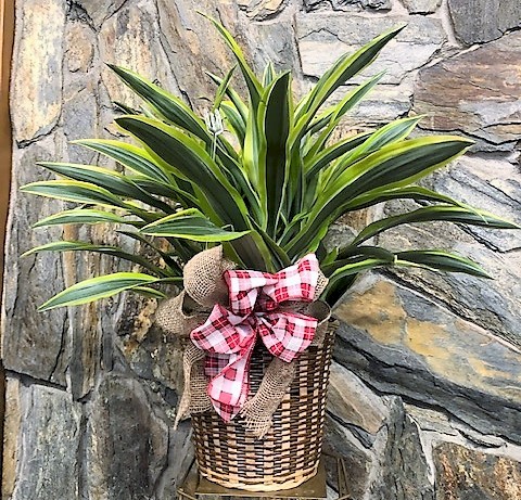 Flowers from Wall Fire Department