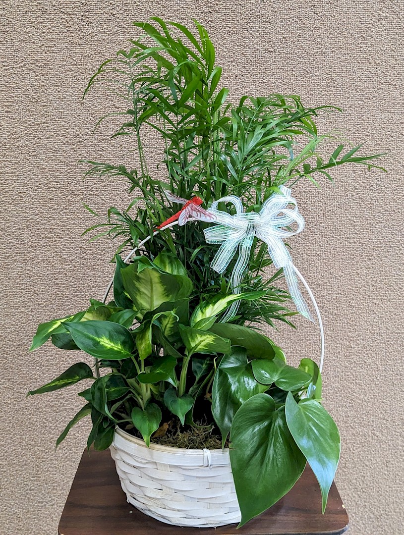 Flowers from City of Wall