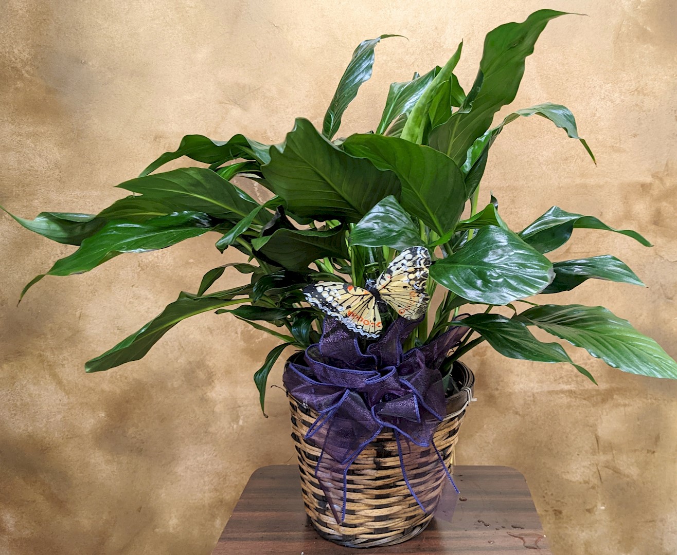 Flowers from Dakota Country Pharmacy