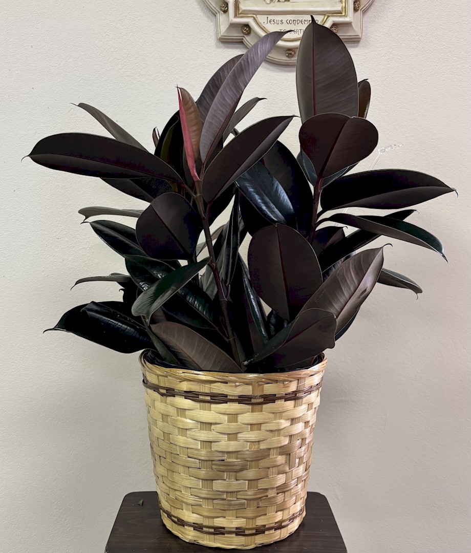 Flowers from Philip and Kadoka Clinic Staff