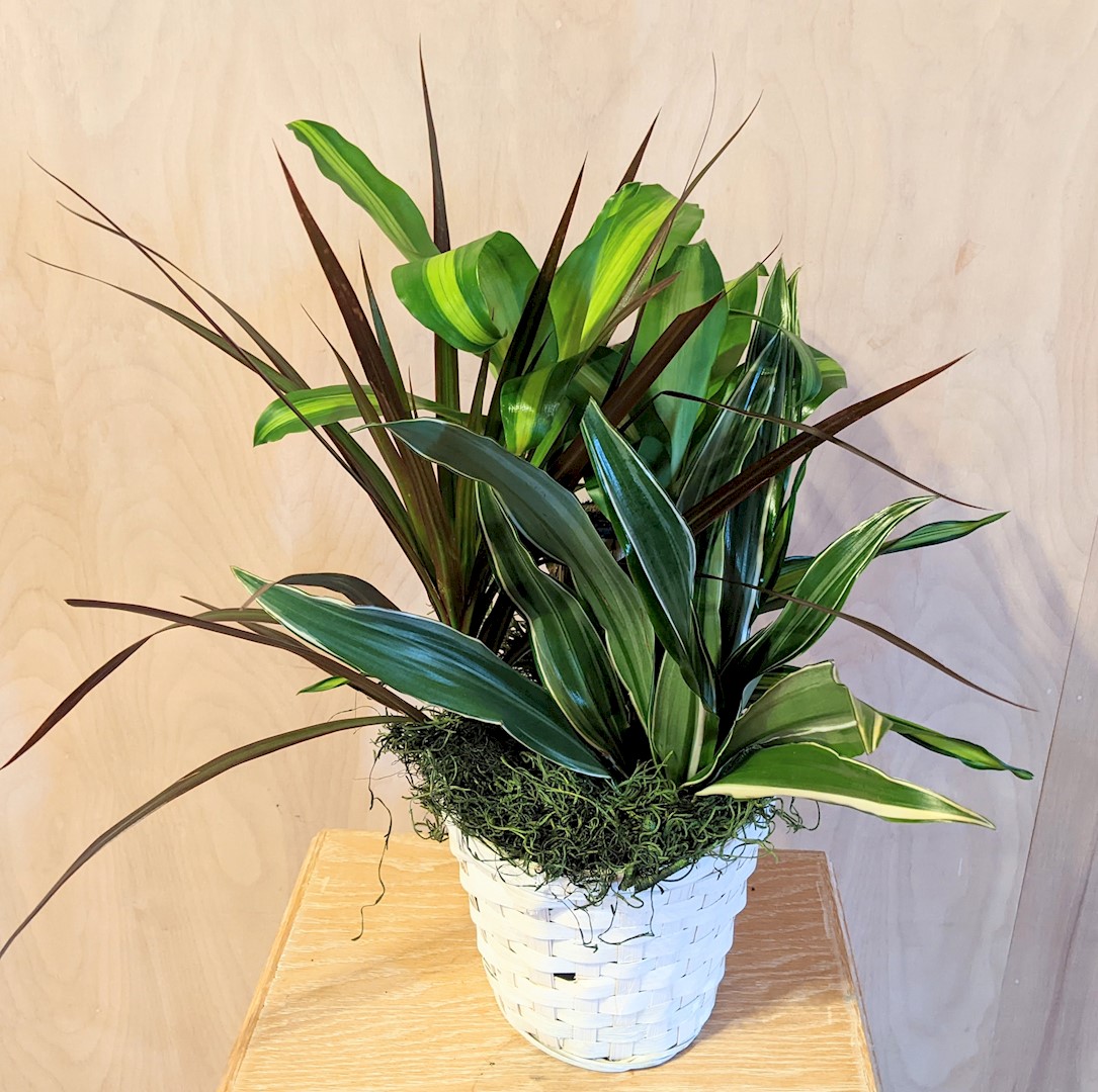 Flowers from Jackie, Casey, Mason, Madison, and Bonnie