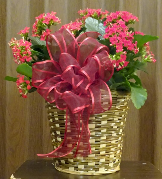 Flowers from Patty Geigle and Ray Greenseth and families