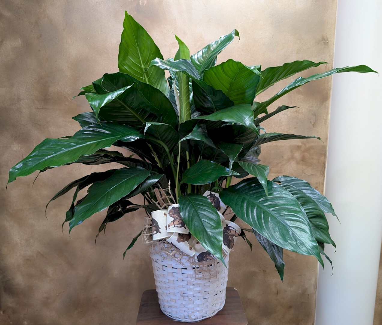 Flowers from Aunt Louise; Darryl and Pam; DeWayne, Jess, and Family; Becky, Ron, and Family; Bonnie, Brian, and Family; and Barb, Ran, and Family