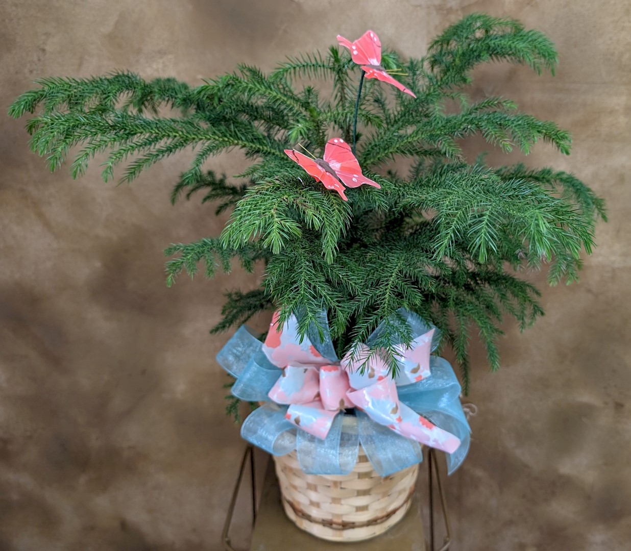 Flowers from The Eymers