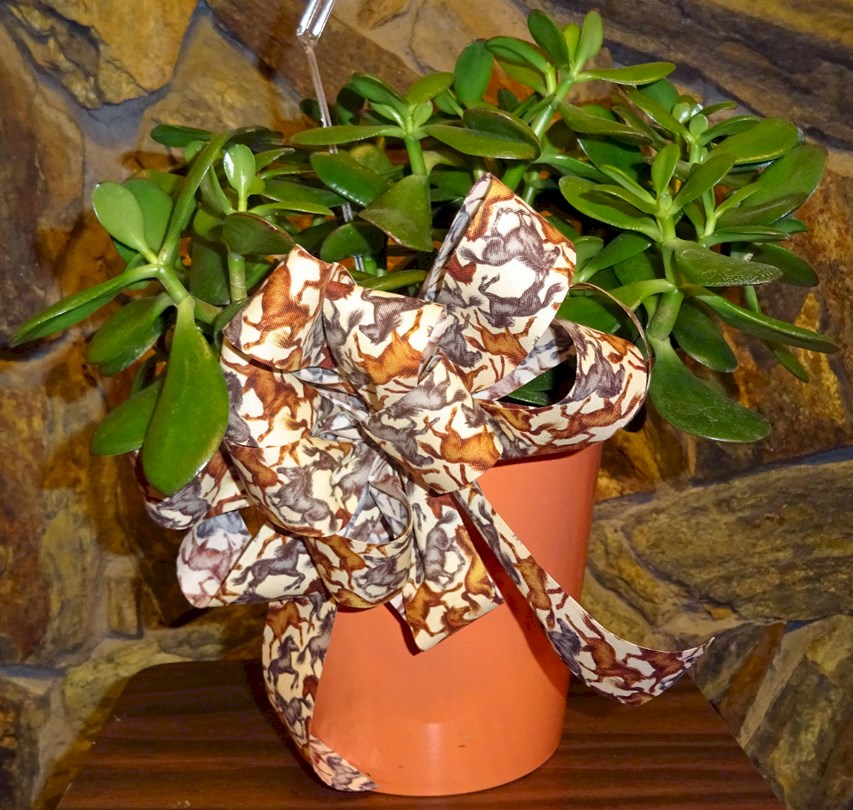 Flowers from Napa Auto Parts - Dale and Tami
