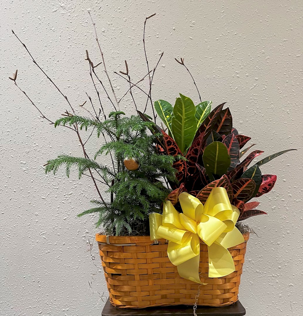 Flowers from Mike and Karla Janssen and Family; Scott and Toni Vance and Family; and Wayne Overland