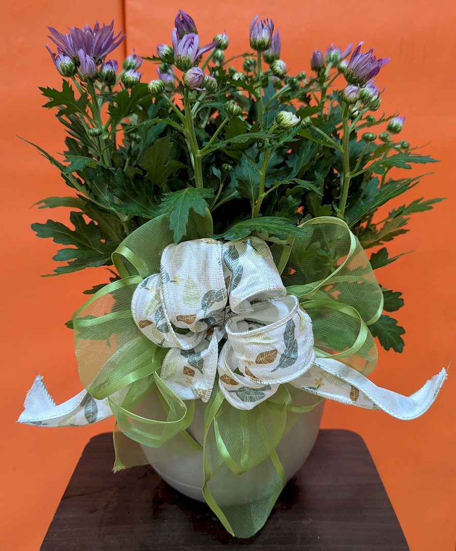 Flowers from Dakota Country Pharmacy