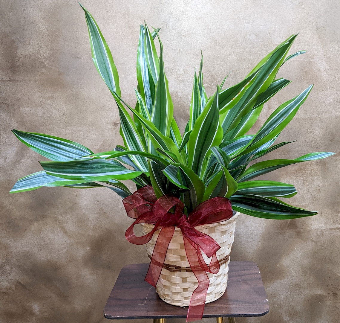 Flowers from Kadoka Nursing Home Staff, Residents, and Board of Directors