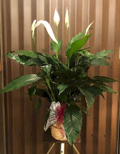 Flowers from Hal and Bev Sims and Family