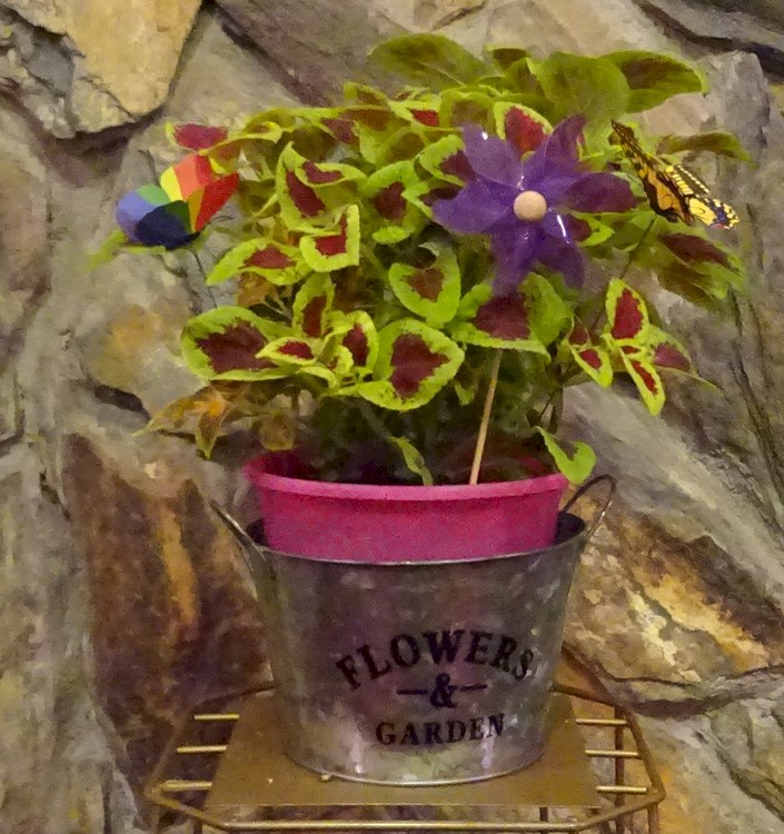 Flowers from Shar & Amy's Child Care