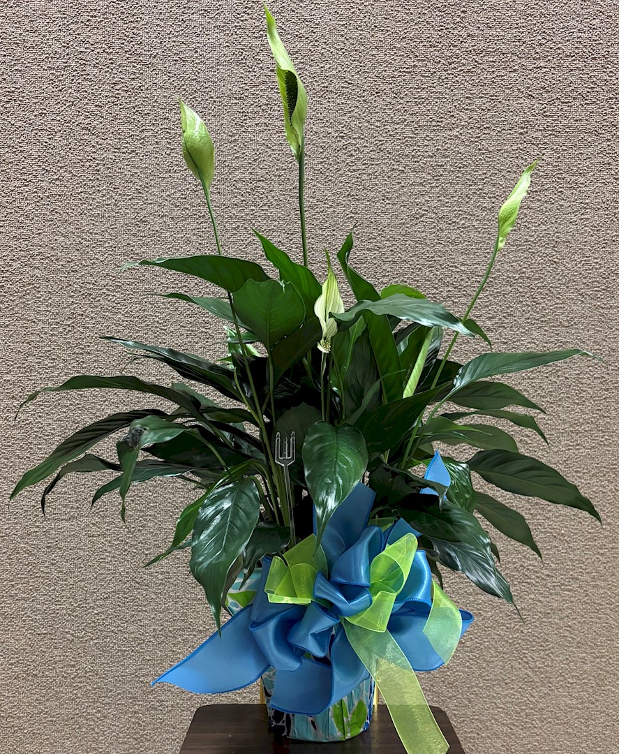 Flowers from City of Wall