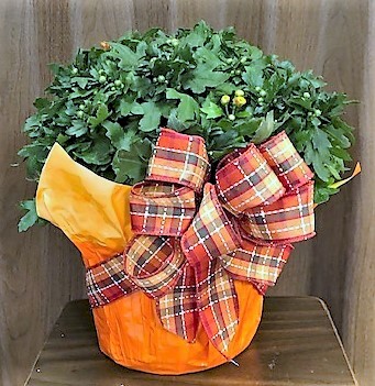 Flowers from Marty and Susan Huether