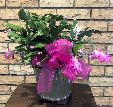 Flowers from The Peak Motion Team