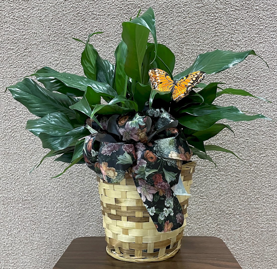 Flowers from Chandler, Tara, and Family