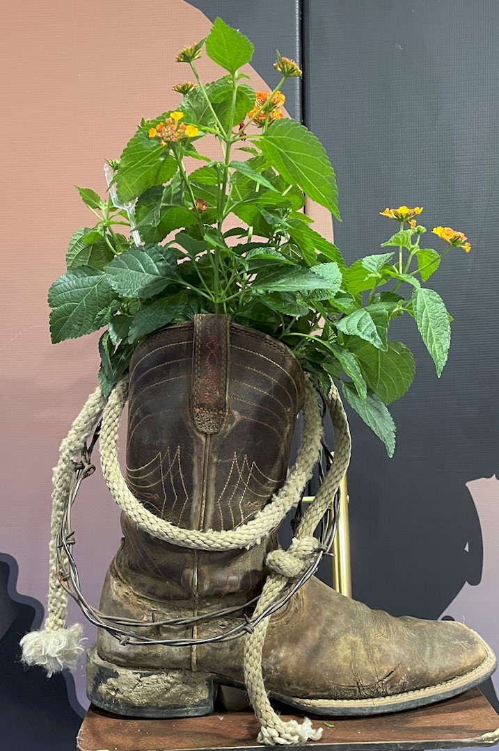 Flowers from Twix, Ginger, and Family