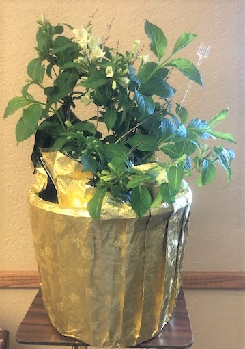 Flowers from Hicks Family - Joe, Ted, Arlene, Kassie, and Jarred