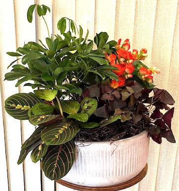 Flowers from Buker and Amy Beaumont, Mardi Hulm, and Megan Fjeld