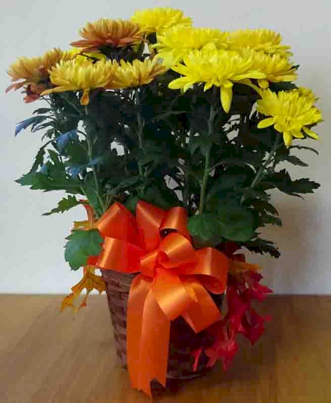 Flowers from Albert & Tonya and Mike & Linda T.