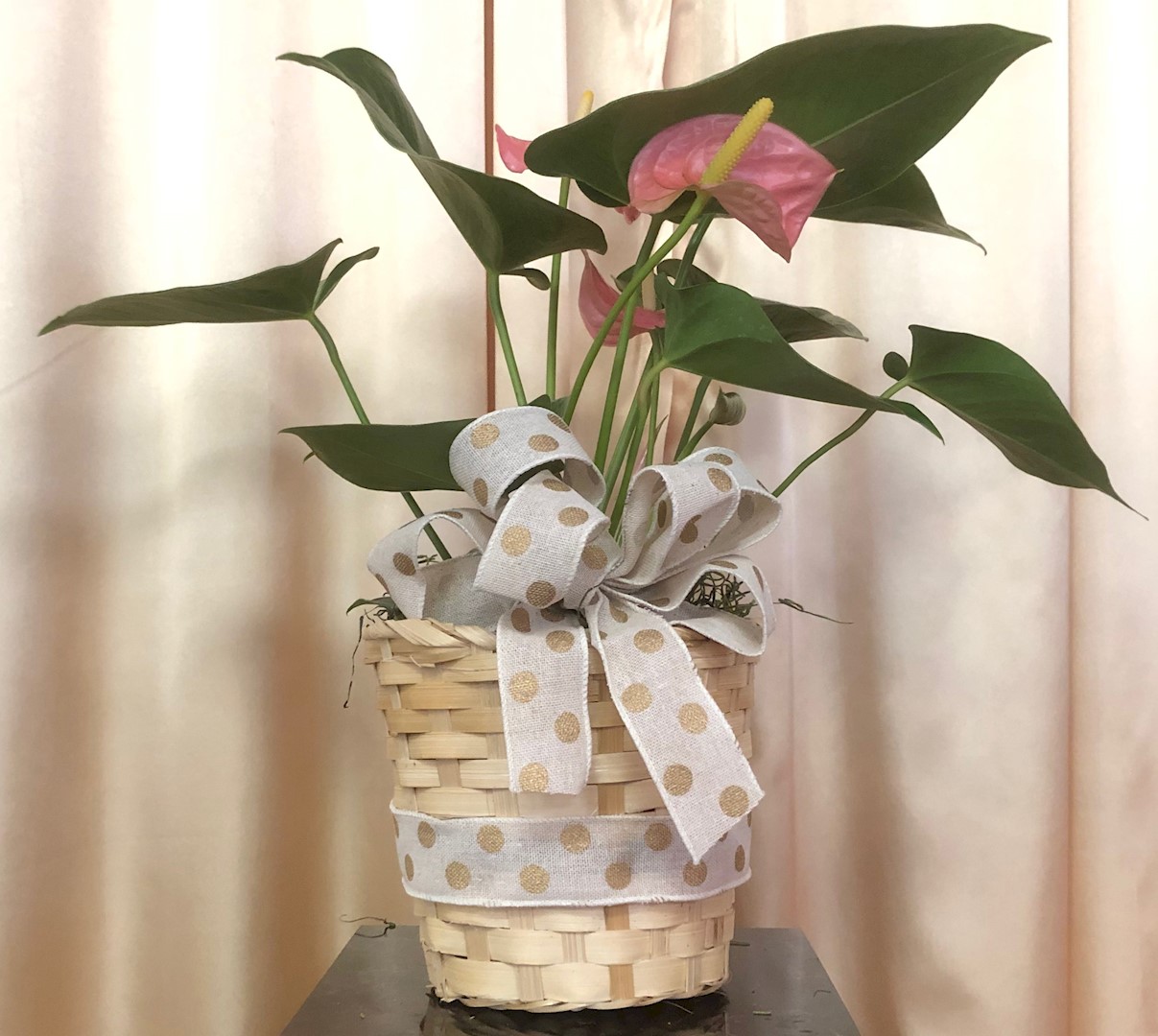 Flowers from Jim and Debbie Antonsen, C.D. Uhlir, and Family