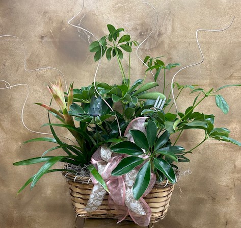 Flowers from Brian & Heather Hanson Family
