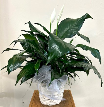 Flowers from Michelle Hook and Patty Groven