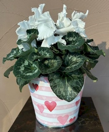 Flowers from The Kadoka Nursing Home Residents, Staff, and Board of Directors