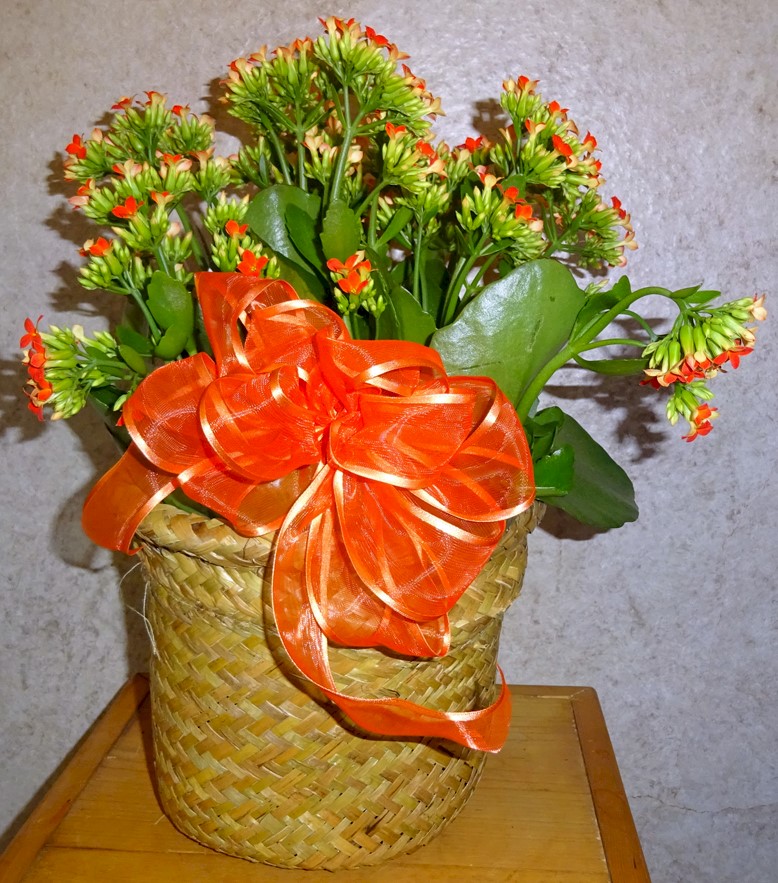 Flowers from Judy