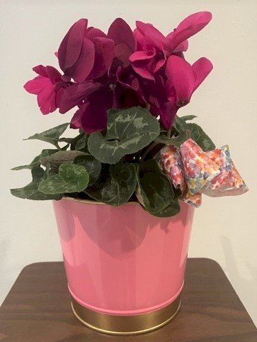 Flowers from Rockie, Susan, and Family