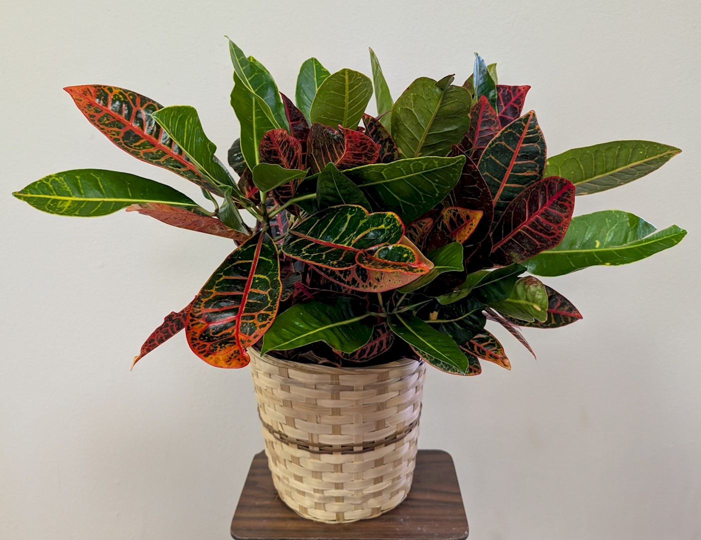 Flowers from The Brown Families: Roy, Kathy, Jamie and Brian, Mary and Tyler, and Jed