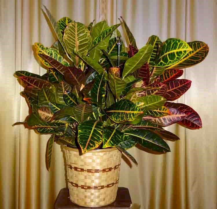 Flowers from Mark and Tammy Carlson and Family
Kadoka Oil, Discount Fuel and Employees