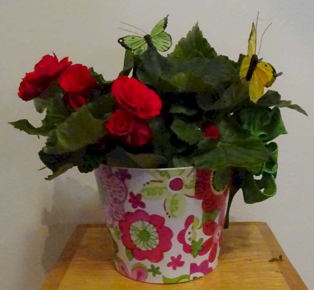 Flowers from Bill Lyle