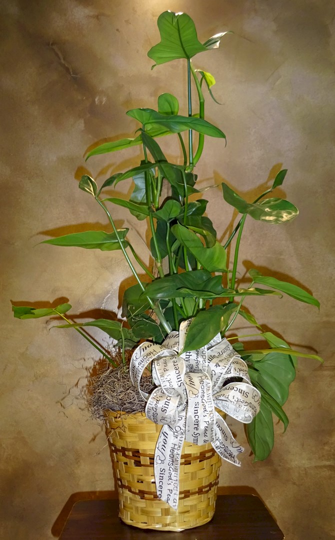Flowers from Your Co-Workers at Avera Weskota