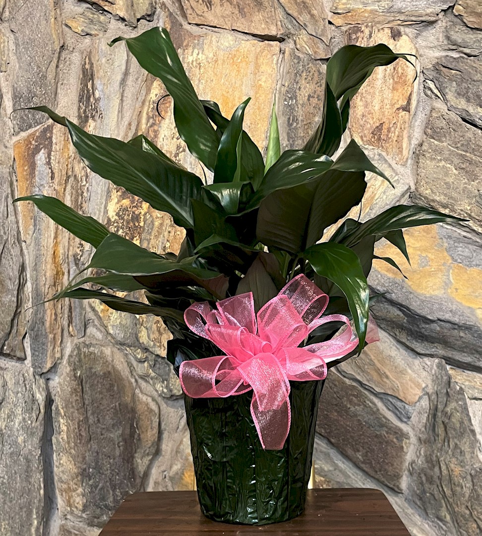 Flowers from Dakota Country Pharmacy