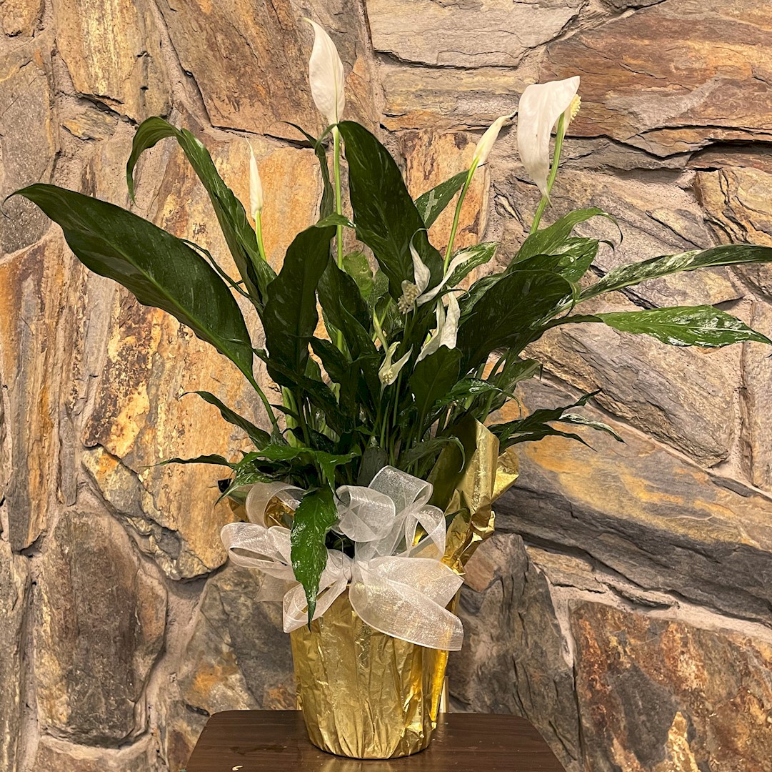 Flowers from The Porch Ranch - Matt and Cheryl, Colby and Sarah, and Stanley